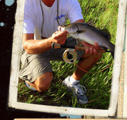 Paul from Florida - Barramundi